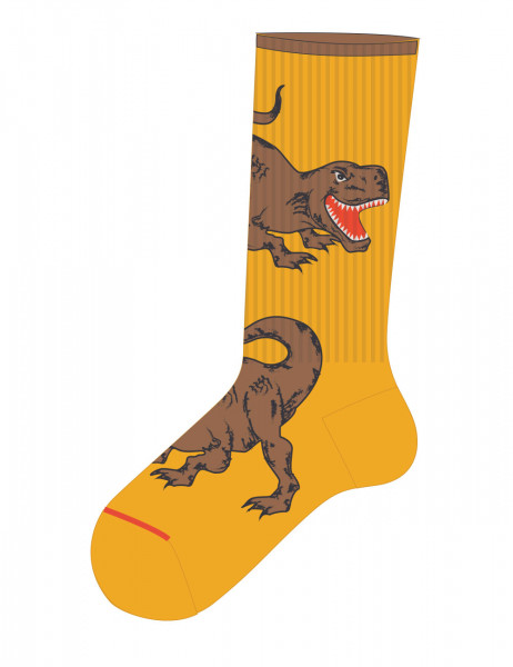 KIDS BOY-Socken, Dino Rippe